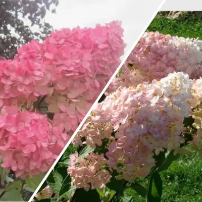 Комплект МНОГОГРАННОСТЬ в Волковыске