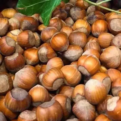 Фундук ТОНДА ДЖИФФОНИ в Волковыске