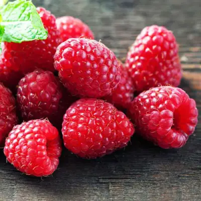 Малина ЭРИКА в Волковыске