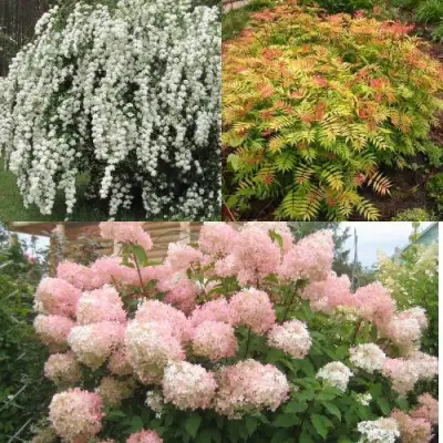 Комплект ФЕЙЕРВЕРК ЛЕТА в Волковыске