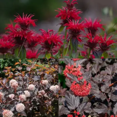 Комплект ОГНЕННЫЙ МИКС в Волковыске