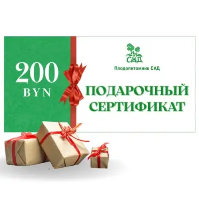 Подарочный сертификат на 200 BYN в Волковыске
