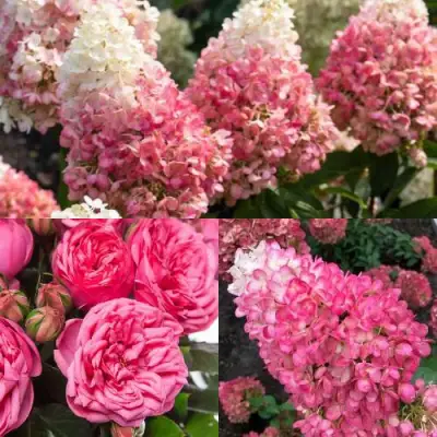 Комплект МАЛИНОВЫЙ ДЕСЕРТ в Волковыске