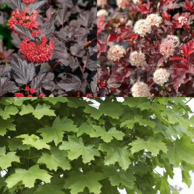 Комплект ОСЕННИЙ КОСТЕР в Волковыске