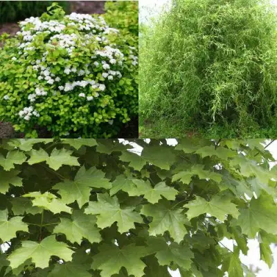 Комплект ЗЕЛЕНЫЙ ОАЗИС в Волковыске