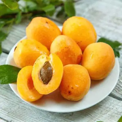 Абрикос АНАНАСНЫЙ в Волковыске