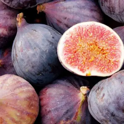 Инжир МУАССОН в Волковыске