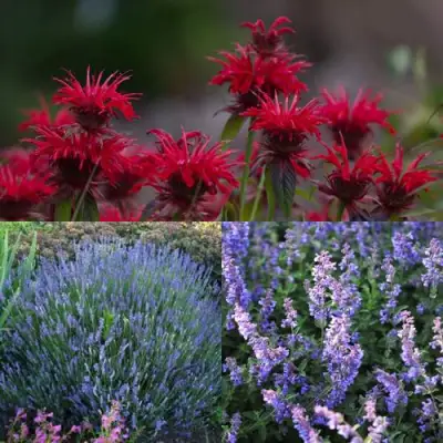 Комплект АРОМАТНЫЙ ЧАЙ в Волковыске