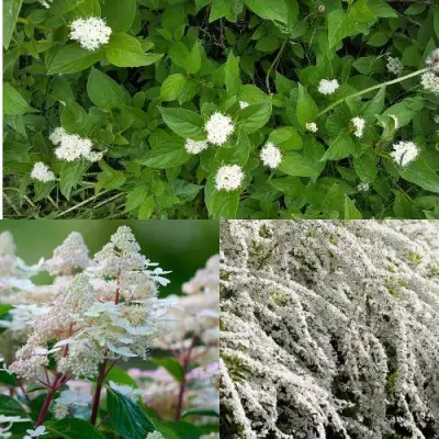 Комплект СКАНДИНАВСКИЙ СТИЛЬ в Волковыске