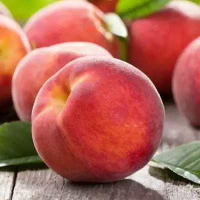 Персик МАЙСКИЙ ЦВЕТОК в Волковыске