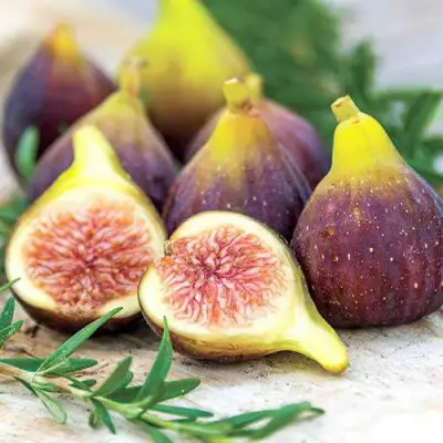 Инжир НИКИТСКИЙ в Волковыске