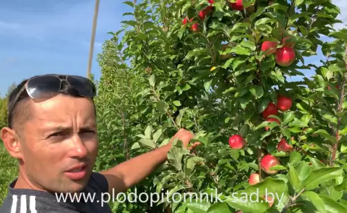 Превью видео