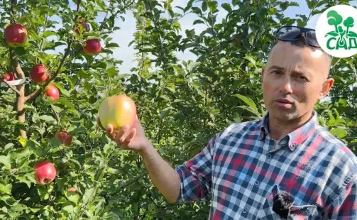 Превью видео