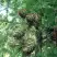 Лиственница европейская в Волковыске