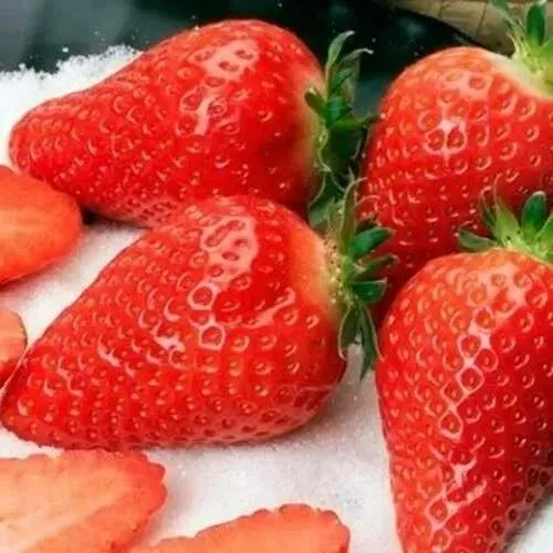 Клубника АЛЬБА  Клубника АЛЬБА в Волковыске