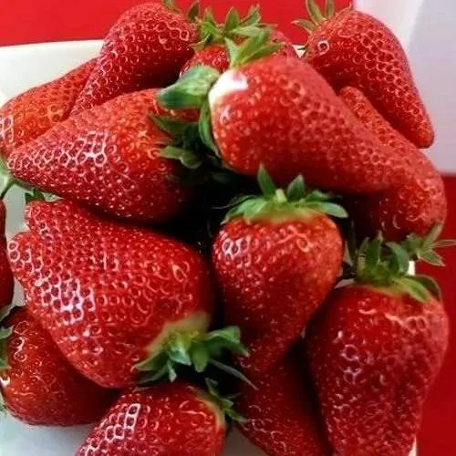 Клубника БРИЛЛА  Клубника БРИЛЛА в Волковыске