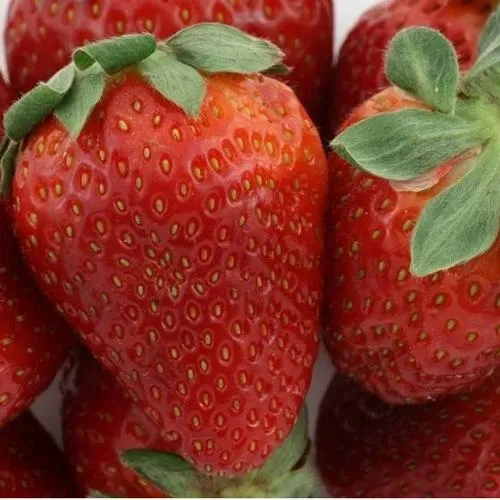 Клубника ФЛАМИНИЯ  Клубника ФЛАМИНИЯ в Волковыске