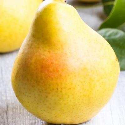 Желтая в Волковыске