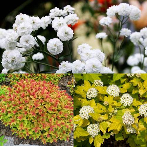 Комплект СОЛНЕЧНЫЙ МИКС в Волковыске