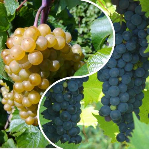 Комплект ИНЬ-ЯНЬ в Волковыске