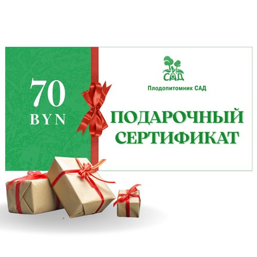 Подарочный сертификат на  70 BYN в Волковыске