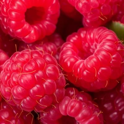 Красная в Волковыске