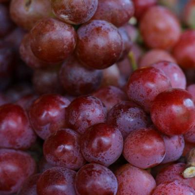 Красный в Волковыске