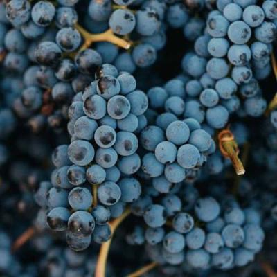 Технический в Волковыске