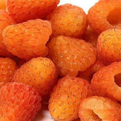 Оранжевая в Волковыске